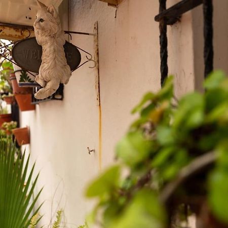 El Patio De La Vina By Gades Gestion Apartment Cadiz Exterior photo